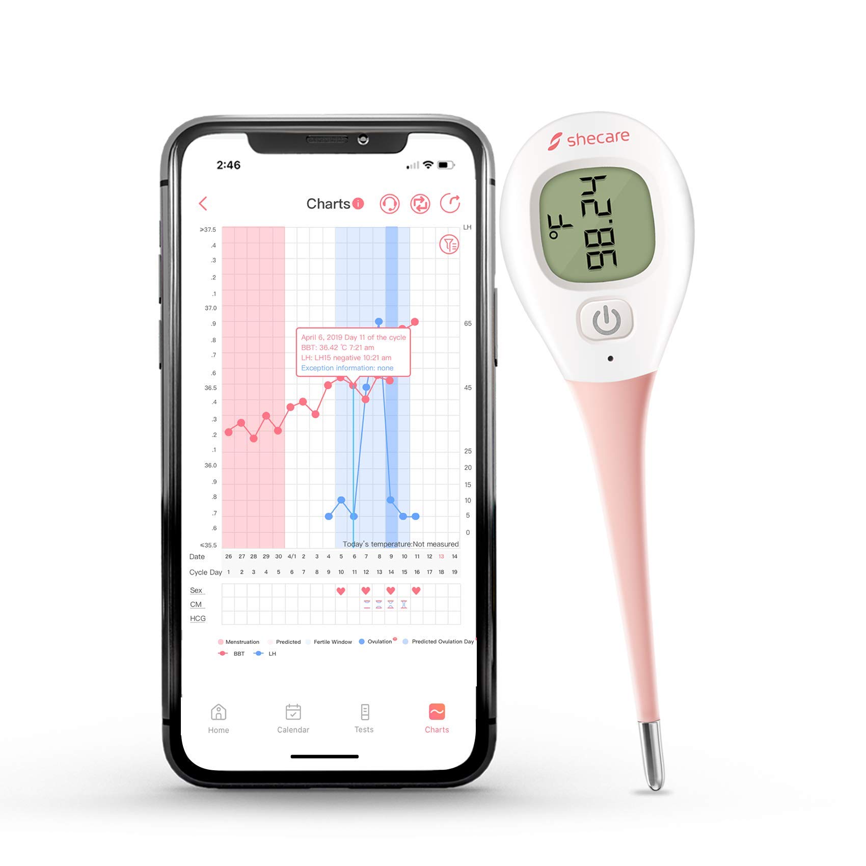 Digital Basal Body Thermometer for Ovulation, High Precision Oral Thermometer, Accurate 1/100th Degree for Fertility Tra